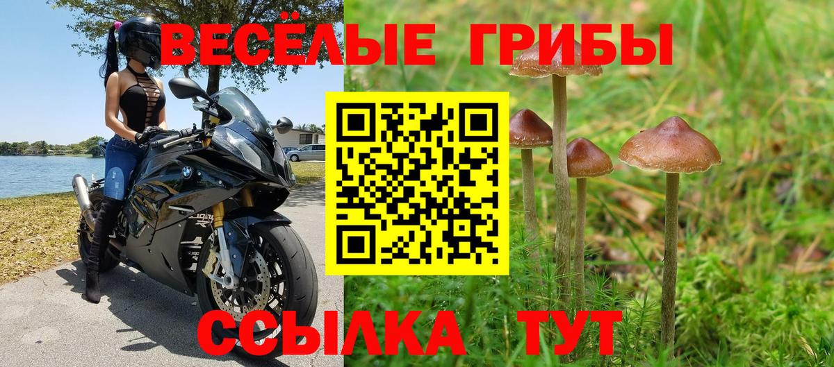 Качканар  Псилоцибиновые грибы GOLDEN TEACHER  Вход с VPN 