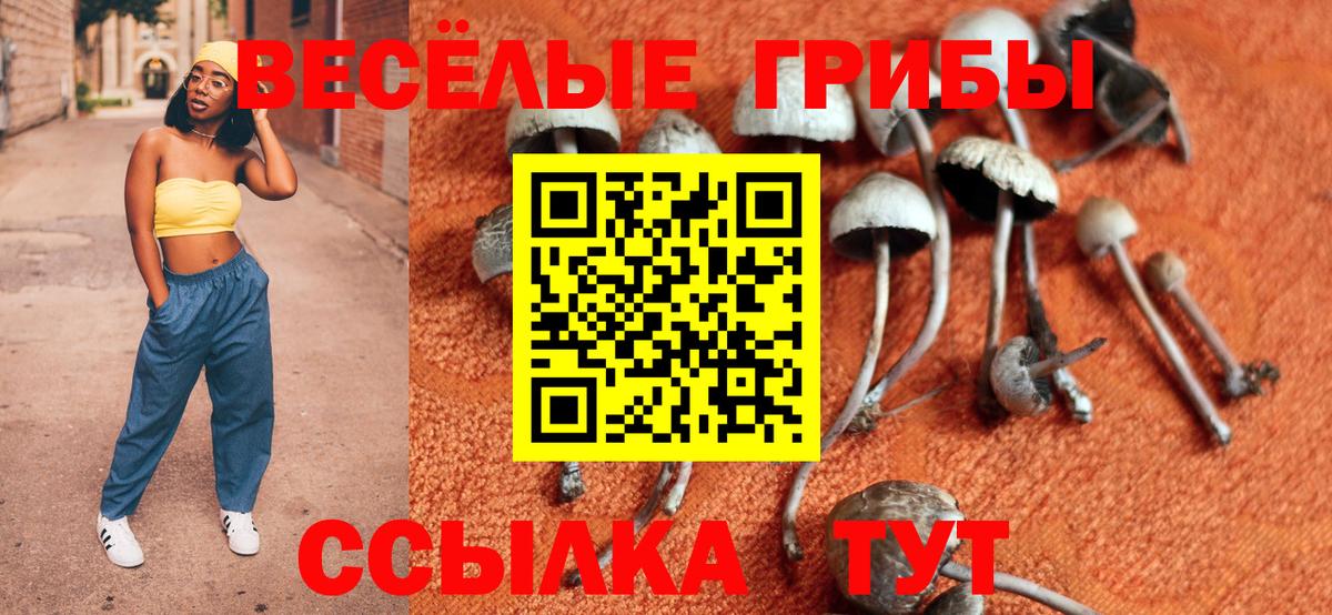Псилоцибиновые грибы мицелий Качканар
